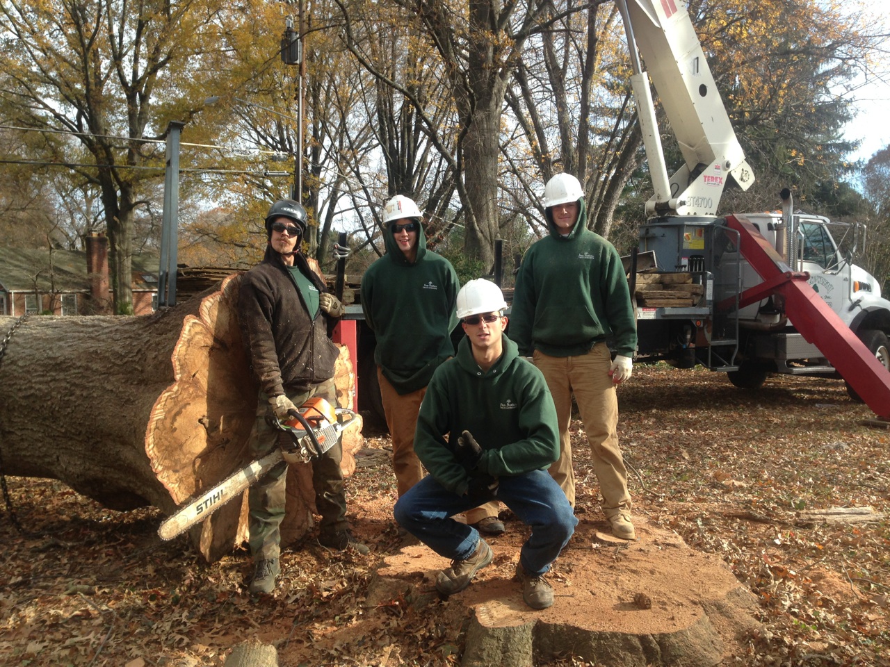 Tree Removal Services Fairfax Drainage Install Fairfax About Us